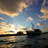 Alexandria Fishing Trip